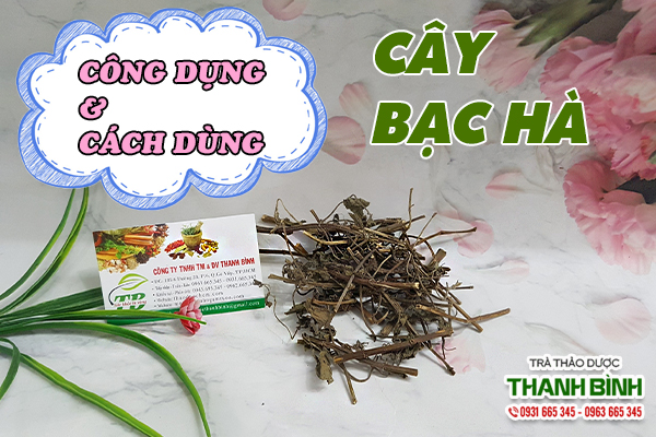 Dùng bạc hà sao cho đúng cách?