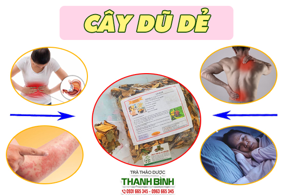 Một số công dụng trị bệnh từ cây dũ dẻ