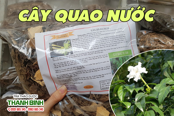 Tìm hiểu về cây quao nước