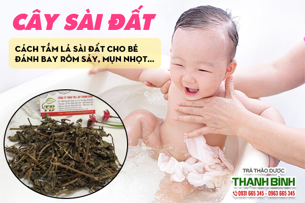 Cây sài đất rất tốt cho trẻ sơ sinh bị rôm sẩy, mẩn ngứa