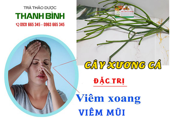 cây xương cá