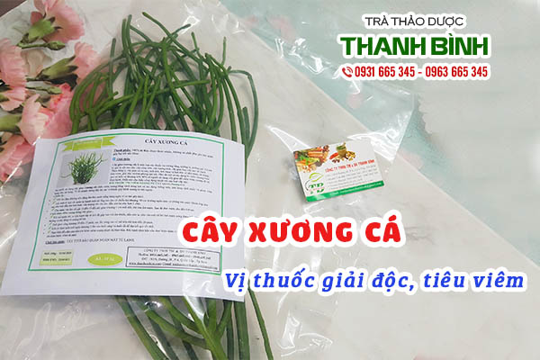 cây xương cá