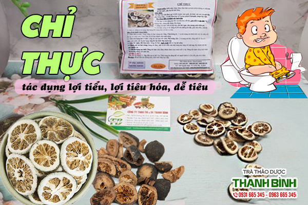 Chỉ thực và công dụng lợi tiểu, dễ tiêu hóa