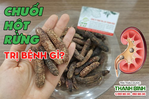 Chuối hột rừng chất lượng tại Thảo dược Thanh Bình