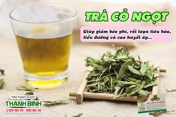 Trà cỏ ngọt giúp giảm cân, đẹp da, tốt cho bệnh nhân tiểu đường