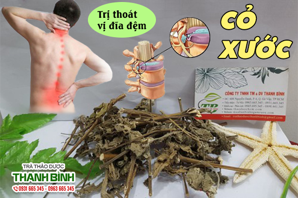 Công dụng của dược liệu cỏ xước
