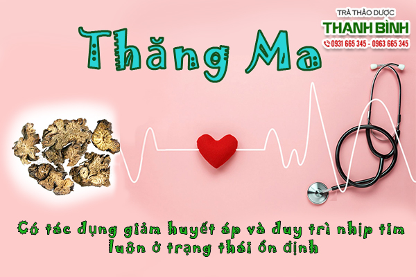Mua thăng ma ở đâu tại TP. HCM??? Thăng ma thảo dược Thanh Bình