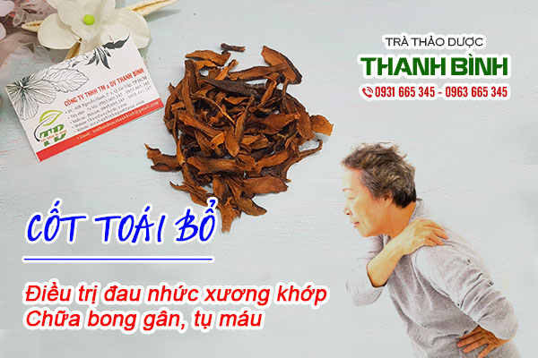 Hình ảnh cốt toái bổ chất lượng Thảo dược Thanh Bình