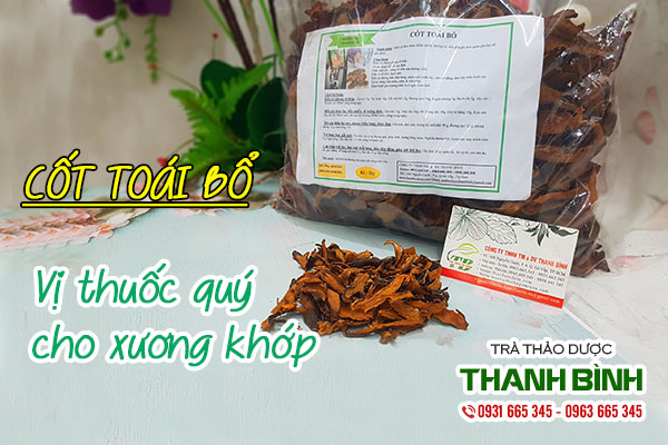 Một số bài thuốc trị bệnh từ cốt toái bổ