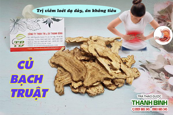 Một số bài thuốc trị bệnh từ củ bạch truật