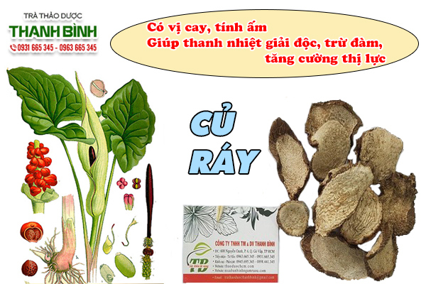 Giới thiệu vị thuốc củ ráy đến từ thiên nhiên