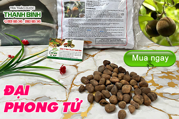 Một số bài thuốc trị bệnh từ đại phong tử