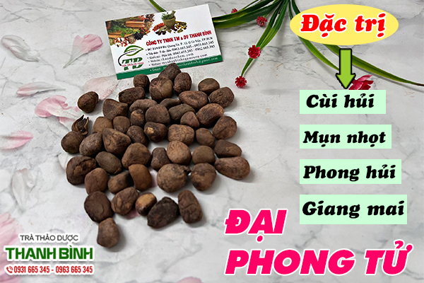 Công dụng của đại phong tử đem lại