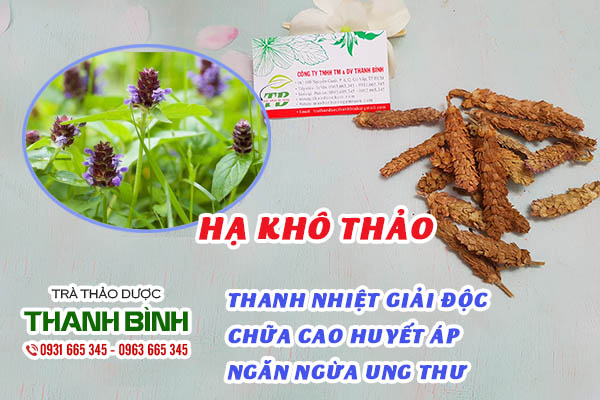 hạ khô thảo