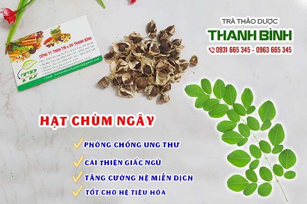 hạt chùm ngây