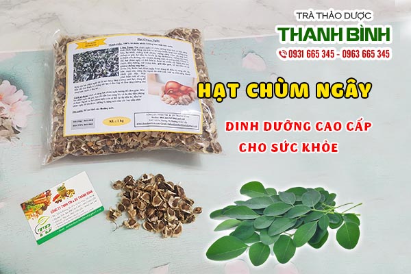 hạt chùm ngây