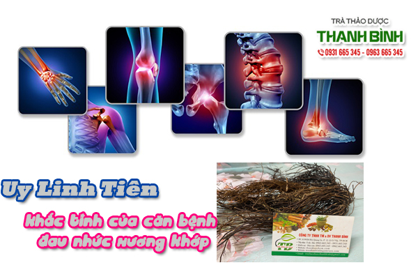 Uy linh tiên Thảo Dược Thanh Bình