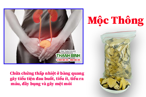 Mộc thông Thảo Dược Thanh Bình