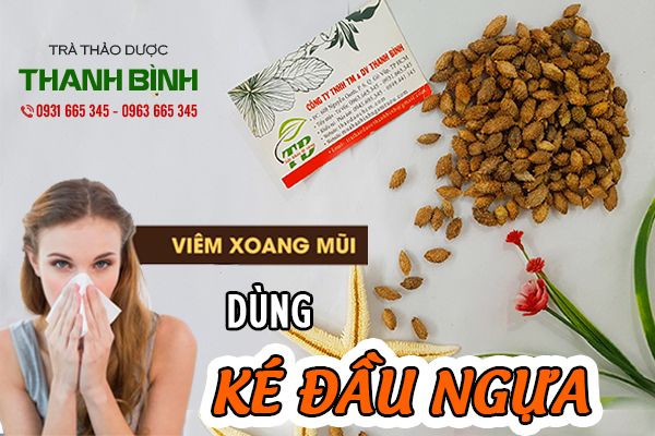 Tìm hiểu về vị thuốc cây ké đầu ngựa