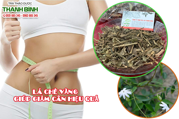 Uống trà chè vằng sau sinh giúp lợi sữa giảm cân