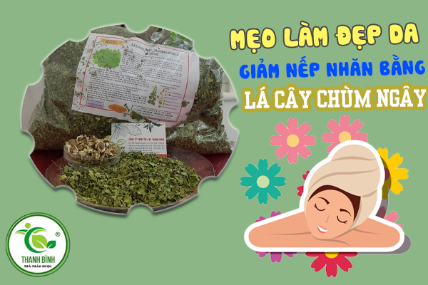 Những bài thuốc trị bệnh từ lá chùm ngây