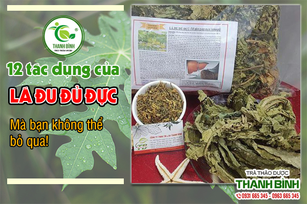 Một số bài thuốc trị bệnh bằng lá đu đủ đực