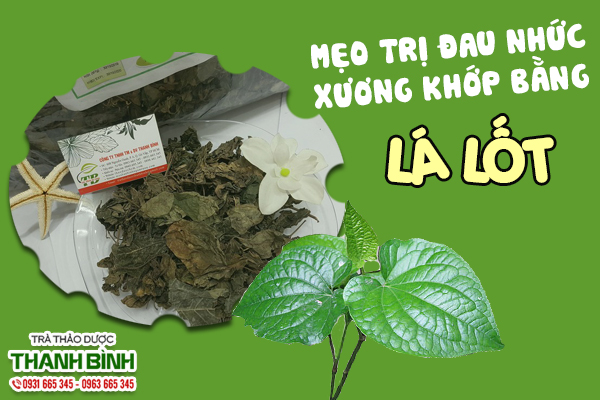 Bài thuốc chữa đau nhức xương khớp bằng lá lốt