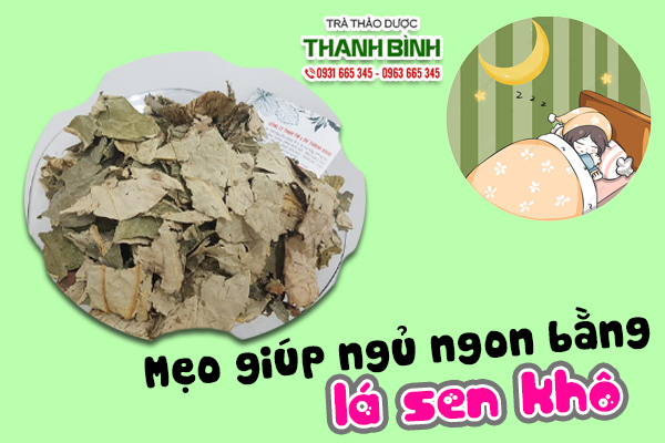 Bài thuốc dùng lá sen khô trị mất ngủ