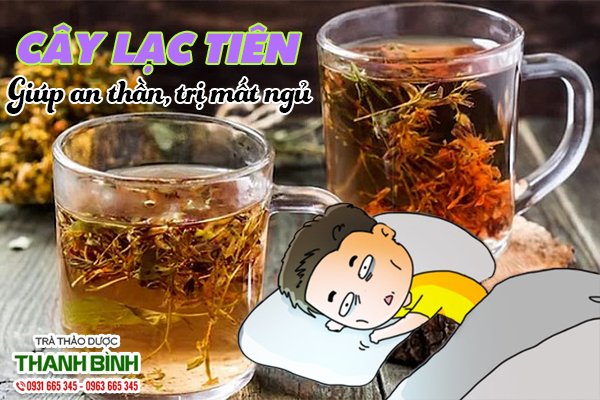 Lạc tiên và bài thuốc trị mất ngủ