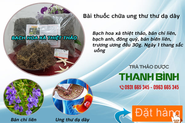 Bạch hoa xà thiệt thảo thu hái tự nhiên tại Thảo dược Thanh Bình