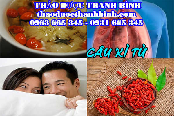  câu kỉ tử