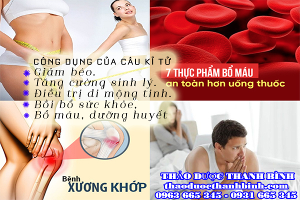  câu kỉ tử 
