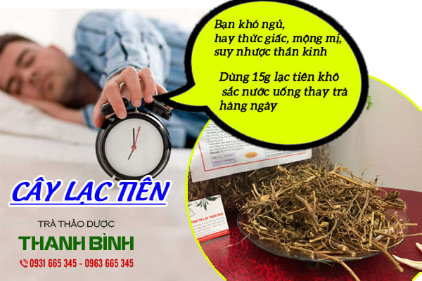 Cây lạc tiên - thảo dược Thanh Bình