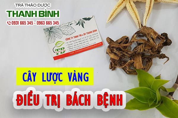 Dùng cây lược vàng sao cho đúng cách?