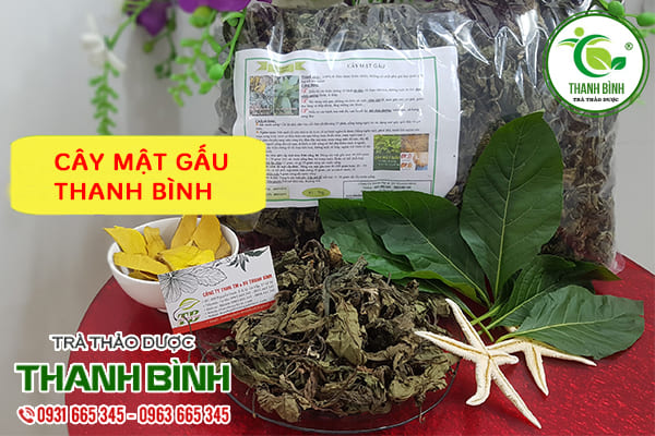 cây mật gấu