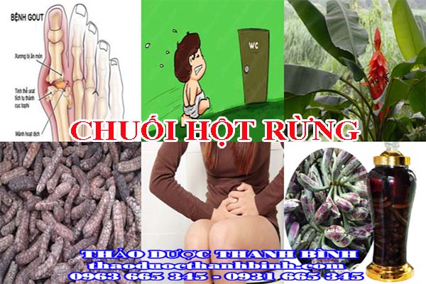 chuối hột rừng