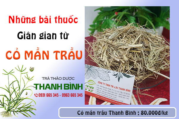 Những công dụng bất ngờ từ cỏ mần trầu