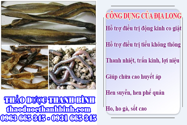 Địa chỉ mua bán địa long tại Hải Dương giá tốt nhất