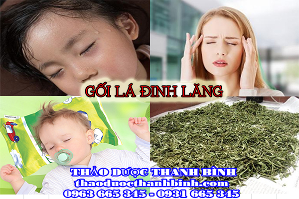  gối lá đinh lăng 