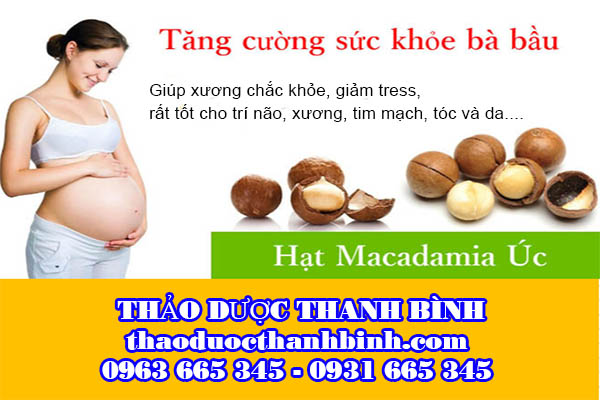 hạt mắc ca 