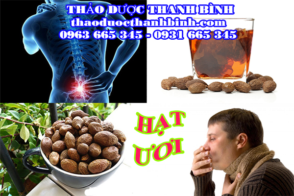  hạt ươi