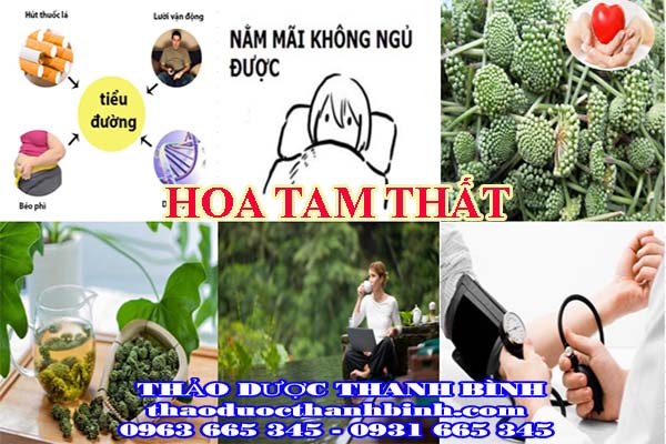 hoa tam thất