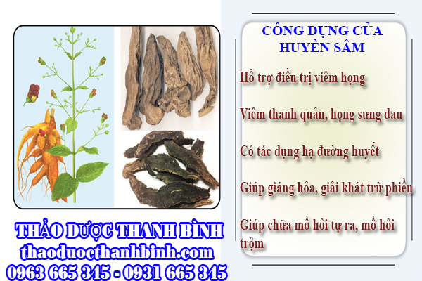 Những công dụng mà huyền sâm đem lại