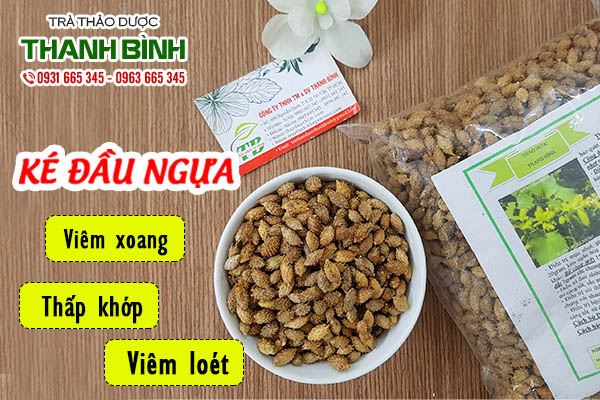 Tác dụng trị bệnh mà ké đầu ngựa mang lại