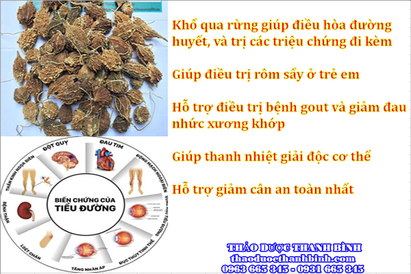 Những công dụng mà khổ qua rừng đem lại