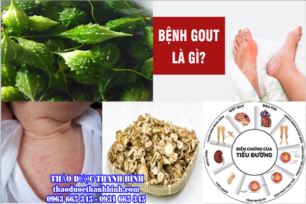 Giới thiệu về khổ qua rừng