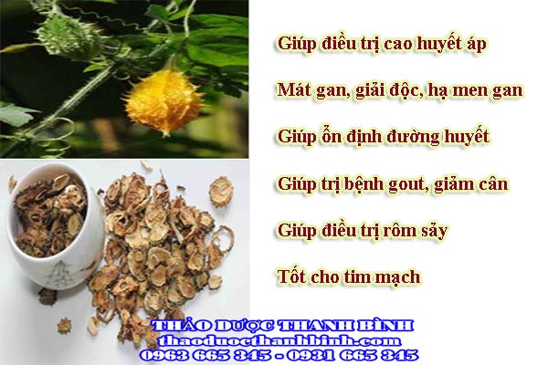 Những tác dụng bổ ích mà khổ qua rừng mang lại