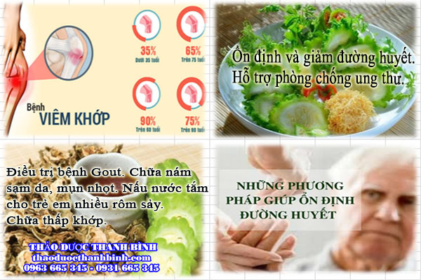 Khổ qua rừng và bài thuốc trị tiểu đường