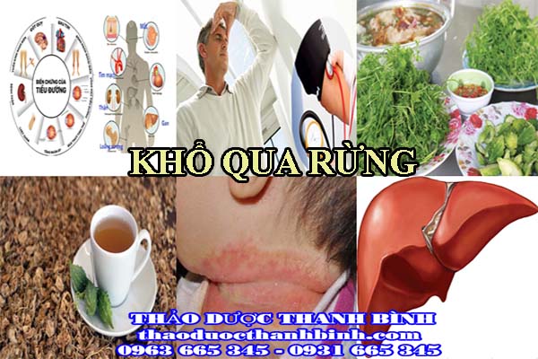 Đặc điểm nhận biết vị thuốc khổ qua rừng