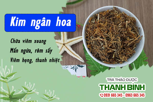 Đặc điểm về cây thuốc kim ngân hoa